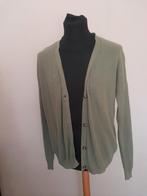 Vest max studio maat L, Kleding | Dames, Ophalen of Verzenden, Zo goed als nieuw, Groen, Maat 42/44 (L)