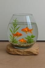 Vissenkom op hout, Ophalen of Verzenden, Leeg aquarium