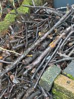 Gratis takken en hout, Doe-het-zelf en Verbouw, Hout en Planken, Ophalen, Overige typen, Zo goed als nieuw, Minder dan 200 cm