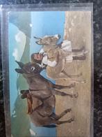 Oude ansichtkaart met Ezeltjes., Ophalen of Verzenden, Voor 1920, Kinderen
