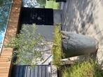 Zinken xxl pot met olijf en bodemplanten 190 Cm, Ophalen, 150 tot 200 cm
