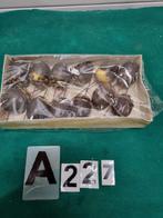 -	Decoratie noten van hout 12 stuks, Diversen, Kerst, Ophalen of Verzenden