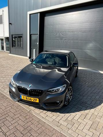 BMW 2-Serie 1.5 218I Coupe 2015 Grijs beschikbaar voor biedingen