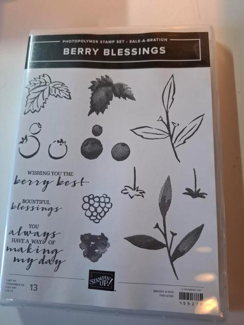 Stampin up stempels: berry blessings, Hobby en Vrije tijd, Stempelen, Zo goed als nieuw, Ophalen of Verzenden