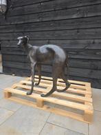 💥💥 Brons - XL Windhond, Ophalen of Verzenden, Nieuw, Dier