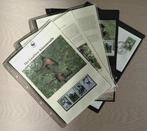 WWF hoofdstuk v/d Zwarthandslingeraap, Ophalen of Verzenden, Postfris, Dier of Natuur