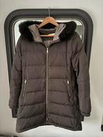 Mooie donsjas van Massimo Dutti. Maat 40, Kleding | Dames, Massimo Dutti, Ophalen of Verzenden, Maat 38/40 (M), Bruin