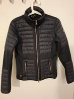 Kingsland Jasje, Dieren en Toebehoren, Ophalen of Verzenden, Zo goed als nieuw, Dressuur, Bovenkleding