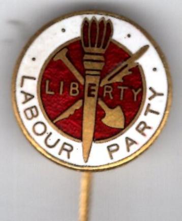 Liberty Labour Party email op koper speldje ( A_211a ) beschikbaar voor biedingen