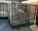 voliere, Dieren en Toebehoren, Vogels | Hokken en Kooien, Ophalen, Gebruikt, Aluminium, Volière