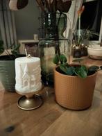 Beth Sjalom Olst Wijhe, Vacatures, Variabele uren, Overige niveaus, Overige vormen