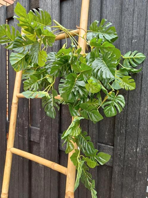 Prachtige kunst hangplant nieuw, Huis en Inrichting, Woonaccessoires | Kunstplanten en Kunstbloemen, Nieuw, Ophalen of Verzenden