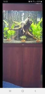 Aquarium juwel lido 120 met meubel, Ophalen, Zo goed als nieuw