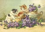 Poesjes in Maartse viooltjes Reliefkaart EF 3047, Verzenden