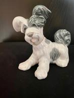Lladro Hond Terrier, Ophalen of Verzenden, Zo goed als nieuw, Dier