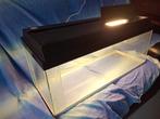 Aquarium met lichtkap, Ophalen, Gebruikt, Leeg aquarium
