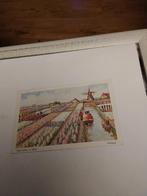 HYACINTEN. IN BLOEI.  HOLLAND, Ophalen of Verzenden, Voor 1920, Voertuig