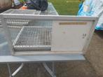 Duiven roosters, Dieren en Toebehoren, Meerdere dieren, Postduif