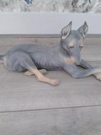 Doberman, Ophalen of Verzenden