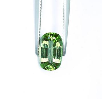 Natuurlijke Olivijn 2.98ct - IGI Gecertificeerd beschikbaar voor biedingen