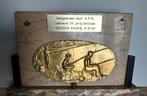 Plaquette   Hengelsport vereniging de gouden voorn., Ophalen of Verzenden, Gebruikt