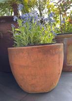 Oud Hollandse kwaliteit dikke terracotta uniek bol bloempot, Tuin en Terras, Bloempotten, 25 tot 40 cm, Rond, Zo goed als nieuw