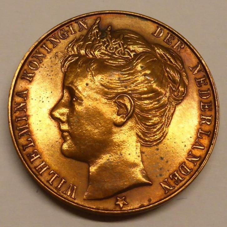 Penning uit 1898: inhuldiging van koningin Wilhelmina, Postzegels en Munten, Penningen en Medailles, Brons, Nederland, Ophalen of Verzenden