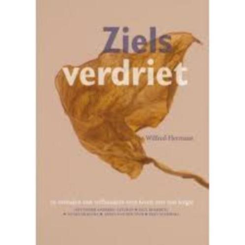 Zielsverdriet Wilfred Hermans 9789463691611, Boeken, Psychologie, Zo goed als nieuw, Sociale psychologie, Ophalen of Verzenden