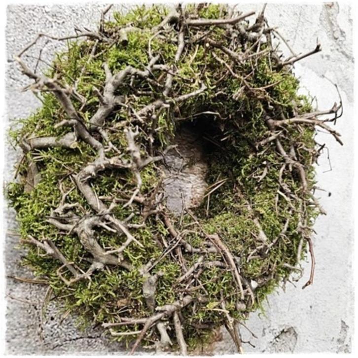 Landelijke prachtige natuurlijke krans mos en takjes , 30 cm, Huis en Inrichting, Woonaccessoires | Kransen, Nieuw, Ophalen of Verzenden