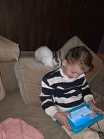 Mannetje gezocht als gezelschap voor Toettie, Mannelijk