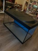 Zeer net aquarium te koop, Ophalen, Zo goed als nieuw