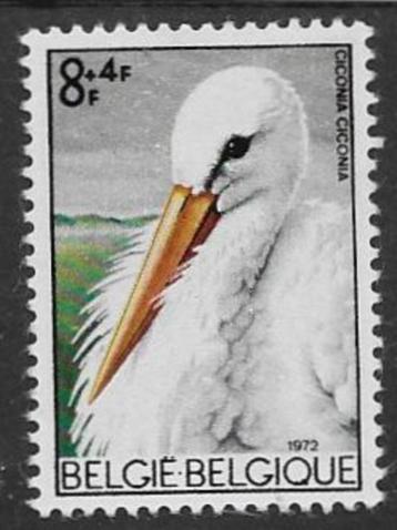 België 1972   Ooievaar  1708  (Ongest. zonder gom) beschikbaar voor biedingen