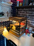 Hamster muizen terrarium kooi bak verlichting schuifdeur, Dieren en Toebehoren, Knaagdieren en Konijnen | Hokken en Kooien, Kooi