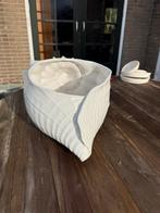Unieke Schelpvormige Plantenpot, Tuin en Terras, Bloempotten, Binnen, Zo goed als nieuw, Minder dan 40 cm, Overige vormen