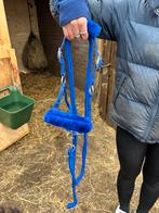 Nieuw halster mini shetlander, Ophalen of Verzenden, Zo goed als nieuw, Overige soorten