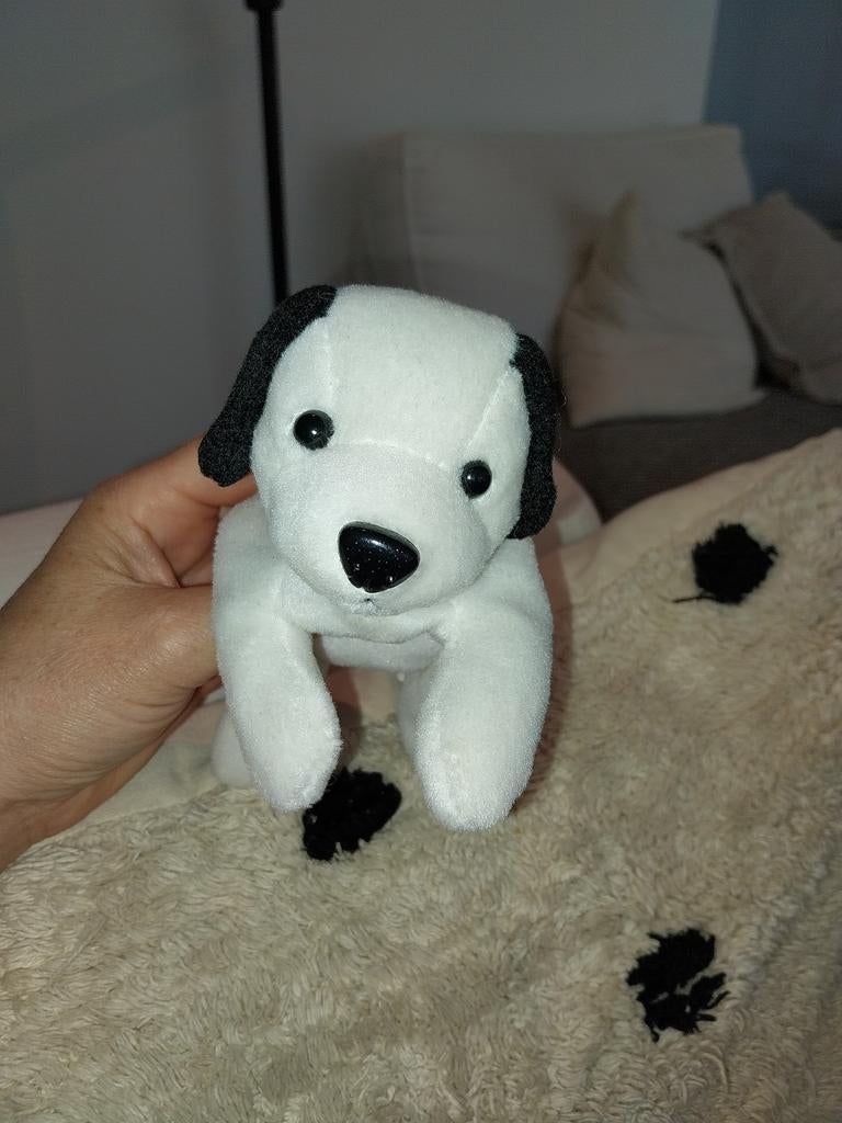 Hond zwart wit, Zo goed als nieuw, Meerkleurig, Hond, Ophalen of Verzenden