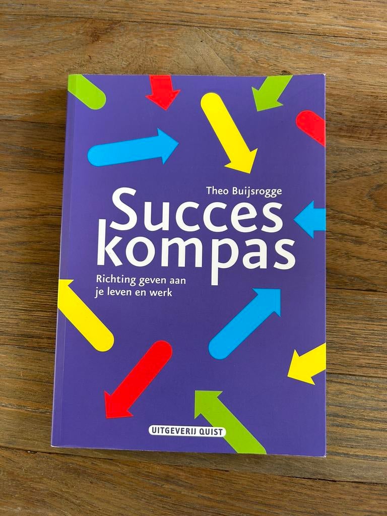 Theo Buijsrogge - Succeskompas, Theo Buijsrogge, Ophalen of Verzenden, Ontwikkelingspsychologie, Zo goed als nieuw