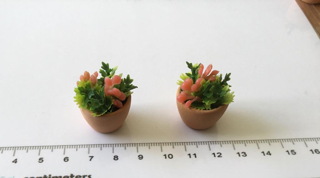 Poppenhuis miniaturen plantjes, Ophalen of Verzenden, Nieuw, Poppenhuis