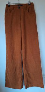 Broek Ydence XS, Bruin, Zo goed als nieuw, Maat 34 (XS) of kleiner, Lang