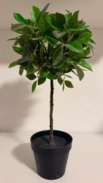 Ficus Kunstplant 42 cm Hoog (4 stuks aanwezig), Ophalen of Verzenden, Nieuw, Binnen