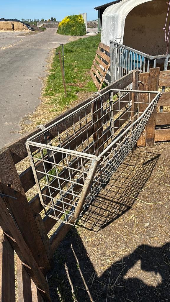 Oerdegelijke hooiruiven!, Dieren en Toebehoren, Schapen, Geiten en Varkens, Meerdere dieren, Schaap