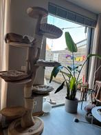 Catz’n Wood baron 2 mtr krabpaal rufi kussens &donut mand, Ophalen, Zo goed als nieuw, Krabpaal