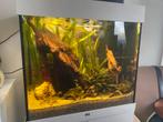 Juwel Lido 120 aquarium incl toebehoren, Dieren en Toebehoren, Vissen | Aquaria en Toebehoren, Ophalen, Inclusief vissen, Zo goed als nieuw