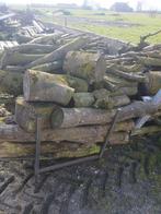 Boomstammen voor brandhout, ongeveer 4 kuub, Tuin en Terras, Haardhout, 3 tot 6 m³, Ophalen of Verzenden, Overige houtsoorten