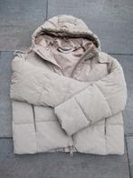 GUESS DAMES JAS nieuw met prijskaartje maat L zie beschr., Guess, Beige, Maat 42/44 (L), Nieuw