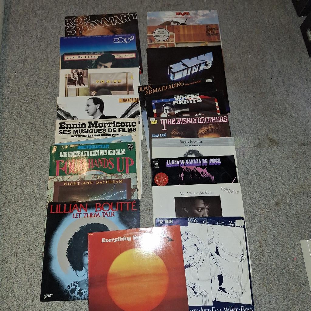 elpees en maxis, Ophalen of Verzenden, Gebruikt, 12 inch