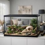 Terrarium decoratie - Schedel raaf - vogel, Overige soorten, 0 tot 2 jaar