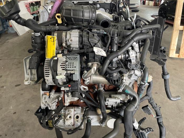 Motor van een Ford Transit, Gebruikt, -, -, Ophalen of Verzenden