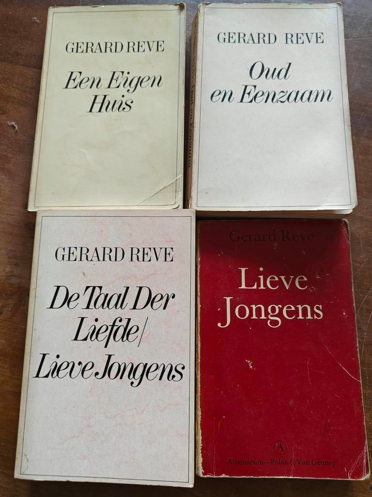Gerard Reve boeken, Ophalen of Verzenden, Gelezen
