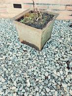 gietijzeren vierkante bloembakken brocante  uitstraling🌸, Minder dan 30 cm, Rond, Ophalen of Verzenden, Zo goed als nieuw